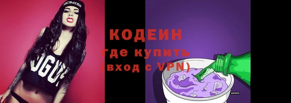 гашик Богородицк