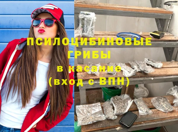 гашик Богородицк