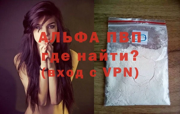 экстази Богданович