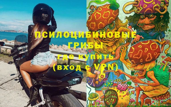 экстази Богданович