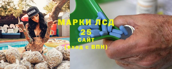 гашик Богородицк