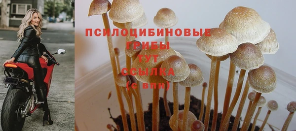 меф Богородск