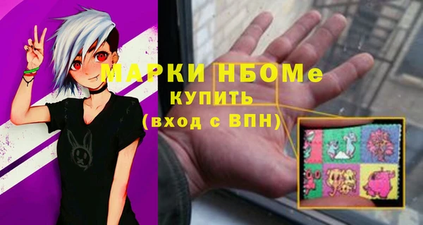 гашик Богородицк