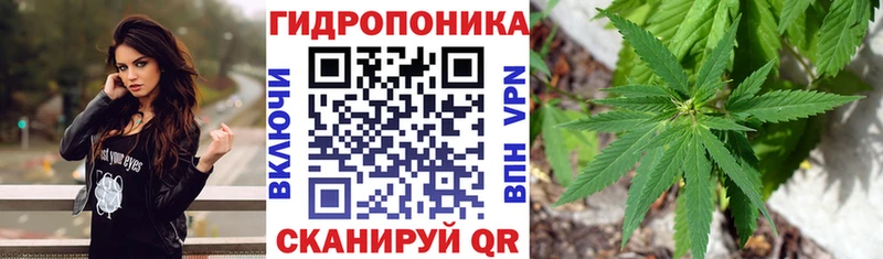 ОМГ ОМГ ТОР  Юхнов  Шишки марихуана ГИДРОПОН 
